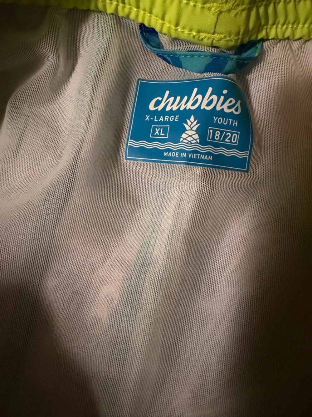 NWT! Chubbies Blue & Pink Dinosaur Print Swim Shorts